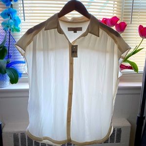 Cream Color Short Sleeves Satin Blouse. Great For a Day At the Office.
